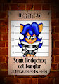 wanted_sonic_hedgehog_cat_burglar.