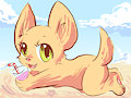 beach