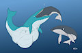 whale vore by CausationCorrelation