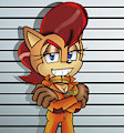 Sally Acorn in Jail Zone Cover