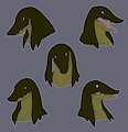 Expression Sheet - Gavvar