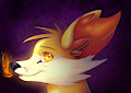 Fennekin by Figofox
