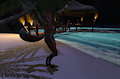 Bikini Vixen Night Beach JOMO Fox