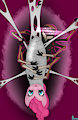 Webbed Up