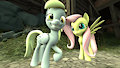 Do you know the Muffin Mare?