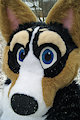 Corgi Snow Day