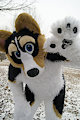 Corgi Snow Day 3