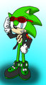 Scourge the Hedgehog