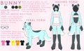 Bunny ref 2011 by ne0nbunny
