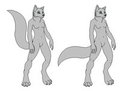 female_anthros_base_clean