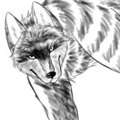 Day 2 - My Favourite Animal