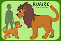 Ruairc Reference Sheet