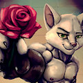 Present Flower