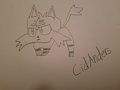 Litten by CidAnders
