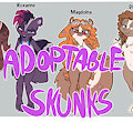 *SOLD OUT*_Skunks