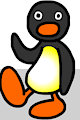 pingu