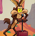 Dos Coyotes, Making Acme Great Again