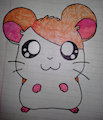 Hamtaro! by CarolWildcat
