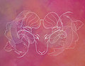 Aries & Pisces