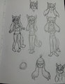 sketches