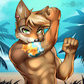 Commission for Suntattoowolf