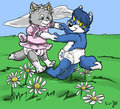 Faxcub and Zanzan Commission
