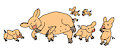 Family of Cute Piggies
