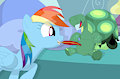 Giving nakey Tanky the feather
