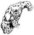 AC08 - IronWolf Conbadge - Inks