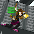 Comm SilverSpectre08: Risky Hack