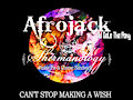 Can't Stop Making A Wish