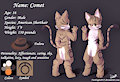 Comet [Commission]