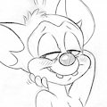 Romy Expression Practice