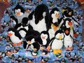 mob of penguins by Penguinboy