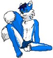 Hi, I'm Max. ^^