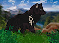 [Commission] Northernwolf by DarkwolfUntamed