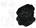 Sketches