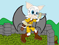 Rouge the explorer