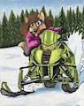 Snowmobile Fun