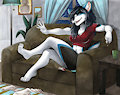 Candys Night By Painted Lamb FWA 2017