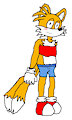 Femboi Fox (Prower Power Request)