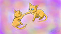 Friendship Cat