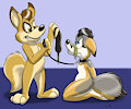 Pet training by RepoFox