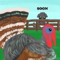 SOON