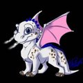 Naum Dragon by kotenokgaff by NaumWolf