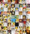 Seventy-One Portzebies