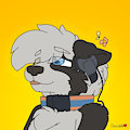 Wolfie - Russel's Nostalgic Music