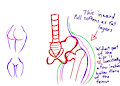Art Journey - Hip Pop Hooray