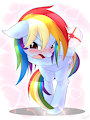 Shy Dashie