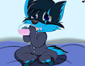 Baby Wolf